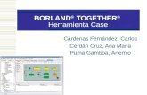Borland Together Administracion Bases de Datos