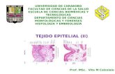 2) Tejido Epitelial II - Prof Vita Calzolaio