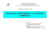 Pueblos Indigenas y Sistema Jurídico