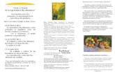 Una Introduccion a Los Principios y Metodologia de La Agricultura Bio-dinamica