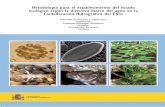 Protocolos de muestreo biológico de aguas continentales