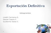 Exportación Definitiva Integrantes Lizeth Carmona S. Daniel Castro C. Guillermo Salas C.