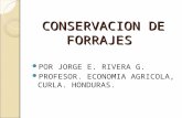 CONSERVACION DE FORRAJES POR JORGE E. RIVERA G. PROFESOR. ECONOMIA AGRICOLA, CURLA. HONDURAS.