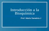 Introducción a la Bioquímica Prof. María Sanabria J.