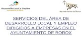 SERVICIOS DEL ÁREA DE DESARROLLO LOCAL Y EMPLEO DIRIGIDOS A EMPRESAS EN EL AYUNTAMIENTO DE BOROX.