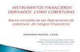 MC&A - Miguel Casal & Asociados - Auditores & Consultores.