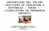 UNIVERSIDAD DEL TOLIMA INSTITUTO DE EDUCACION A DISTANCIA – IDEAD – LICENCIATURA EN PEDAGOGIA INFANTIL INVESTIGACION FORMATIVA EN EL PROGRAMA LICENCIATURA.