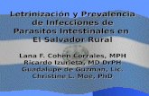 Letrinización y Prevalencia de Infecciones de Parasitos Intestinales en El Salvador Rural Lana F. Cohen Corrales, MPH Ricardo Izurieta, MD DrPH Guadalupe.