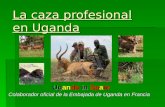 La caza profesional en Uganda Uganda in Spain Colaborador oficial de la Embajada de Uganda en Francia.