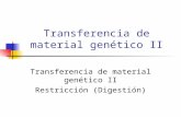 Transferencia de material genético II Restricción (Digestión)