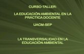 Propuesta desde las primeras conferencias internacionales AL y el Caribe (México) década de los 80´s. La EA forma ya parte del currículum escolar (no.