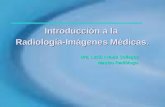 Introducción a la Radiología-Imágenes Médicas. Dra. Lucía Araujo Gallegos Medico Radiólogo.