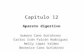 Capítulo 12 Aparato digestivo Gumaro Cano Gutiérrez Carlos Iván Falcón Rodríguez Nelly López Valdez Berenice Cano Gutiérrez.