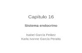 Capítulo 16 Sistema endocrino Isabel García Peláez Karla Ivonne García Peralta.