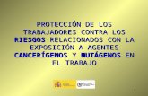 1 PROTECCIÓN DE LOS TRABAJADORES CONTRA LOS RIESGOS RELACIONADOS CON LA EXPOSICIÓN A AGENTES CANCERÍGENOS Y MUTÁGENOS EN EL TRABAJO.