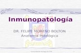 Universidad de Santiago de Chile1 Inmunopatología DR. FELIPE MORENO BOLTON Anatomía Patológica.