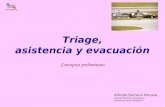 Triage, asistencia y evacuación Conceptos preliminares Alfredo Serrano Moraza Andrés Pacheco Rodríguez Alejandro Pérez Belleboni.