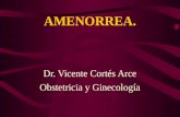 AMENORREA. Dr. Vicente Cortés Arce Obstetricia y Ginecología.