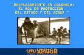 DESPLAZAMIENTO EN COLOMBIA: EL ROL DE PROTECCIÓN DEL ESTADO Y DEL ACNUR DESPLAZAMIENTO EN COLOMBIA: EL ROL DE PROTECCIÓN DEL ESTADO Y DEL ACNUR Washington,