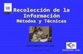 Héctor Sanín Angel Recolección de la Información Métodos y Técnicas Gerencial Ltda. hsanin@gerencial.org.