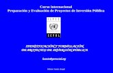 Héctor Sanín Angel Curso internacional Preparación y Evaluación de Proyectos de Inversión Pública IDENTIFICACIÓN Y FORMULACIÓN DE PROYECTOS DE INVERSIÓN.