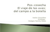 Isaías González Enólogo, Hedges Family State. Aspectos de producción El proceso en la vinería.