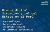 Brecha digital: Situación y rol del Estado en el Perú Hugo Gallegos Gerente General Instituto Peruano de Comercio Electrónico Público FTAA.ecom/inf/111.