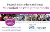 Www.unisdr.org/campaign 2010 - 2015  .