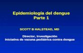 Epidemiología del dengue Parte 1 SCOTT B HALSTEAD, MD Director, Investigación Iniciativa de vacuna pediátrica contra dengue.
