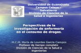 Universidad de Guanajuato Campus Celaya – Salvatierra División de Ciencias de la Salud e Ingenierías Perspectivas de la investigación de enfermería en.