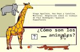¿Cómo son los animales? Diego Aguilera, Ana Royo y Carolina Martínez. Adaptación sobre el trabajo de Paul Widergren:Spanish PowerPoints.