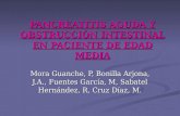 PANCREATITIS AGUDA Y OBSTRUCCIÓN INTESTINAL EN PACIENTE DE EDAD MEDIA Mora Guanche, P, Bonilla Arjona, J.A., Fuentes García, M, Sabatel Hernández, R, Cruz.
