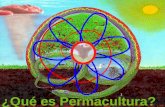 1 ¿Qué es Permacultura?. PERMACULTURAPERMACULTURA.