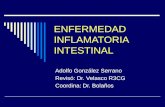 ENFERMEDAD INFLAMATORIA INTESTINAL Adolfo González Serrano Revisó: Dr. Velasco R3CG Coordina: Dr. Bolaños.