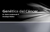 Dr. Denis Landaverde R. Oncólogo Médico. Células tumorales e inicio del cáncer Bases genéticas del cáncer Mutaciones en protooncogenes Mutaciones en genes.