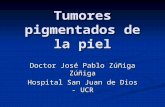Tumores pigmentados de la piel Doctor José Pablo Zúñiga Zúñiga Hospital San Juan de Dios - UCR.