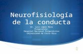 Neurofisiología de la conducta Dr. Luis López Mora Psiquiatría Hospital Nacional Psiquiátrico Universidad de Costa Rica.
