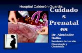 Hospital Calderón Guardia Dr. Alexánder Bullio Residente de 1er año Ginecología y Obstetricia Dr. Alexánder Bullio Residente de 1er año Ginecología y Obstetricia.
