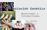 1 Variación Genética Mutaciones y Polimorfismos Dra. Mildred Jiménez.
