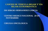 CANCER DE VESICULA BILIAR Y VIA BILIAR EXTRAHEPATICA DR SERGIO HERNANDEZ GARCIA CENTRO MEDICO NACIONAL 20 DE NOVIEMBRE CIRUGIA ONCOLOGICA.