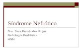 Síndrome Nefrótico Dra. Sara Fernández Rojas Nefrología Pediátrica HNN.