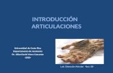 INTRODUCCIÓN ARTICULACIONES Universidad de Costa Rica Departamento de Anatomía Dr. Allan David Mora Cascante -2010- Lab. Disección Articular -Nov, 08-