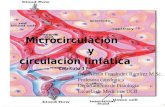 Microcirculación y circulación linfática Capítulo 17 Dra. Aileen Fernández Ramírez M.Sc. Profesora catedrática Departamento de Fisiología Escuela de Medicina,
