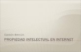 Gastón Bercún. Ideas, proyecto y modelos de negocios Derechos de Autor Patentes Marcas Dominios.