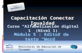 2010 Capacitación Conectar Igualdad Módulo 5 : Editor de texto Word Curso Alfabetización digital 1 (Nivel 1) Ministerio de Educación de Tucumán 2010.