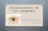 Alteraciones de los párpados Luis León Ibañez; MIR 1 Oftalmología Mª Elena Jiménez Borillo; MIR 3 MF y C C. S. Rafalafena 29 Noviembre 2012.