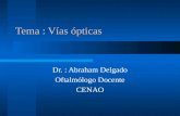 Tema : Vías ópticas Dr. : Abraham Delgado Oftalmólogo Docente CENAO.