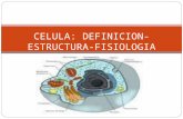 CELULA: DEFINICION-ESTRUCTURA- FISIOLOGIA. DEFINICION: Las células son las unidades funcionales de todos los organismos vivos. Contienen una organización.