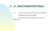 7.- S. GASTROINTESTINAL 31.Estructura funcional del aparato digestivo Motilidad gastrointestinal. Transporte de los alimentos en el tubo digestivo.