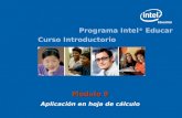 Programa Intel ® Educar Curso Introductorio Módulo 9 Aplicación en hoja de cálculo.